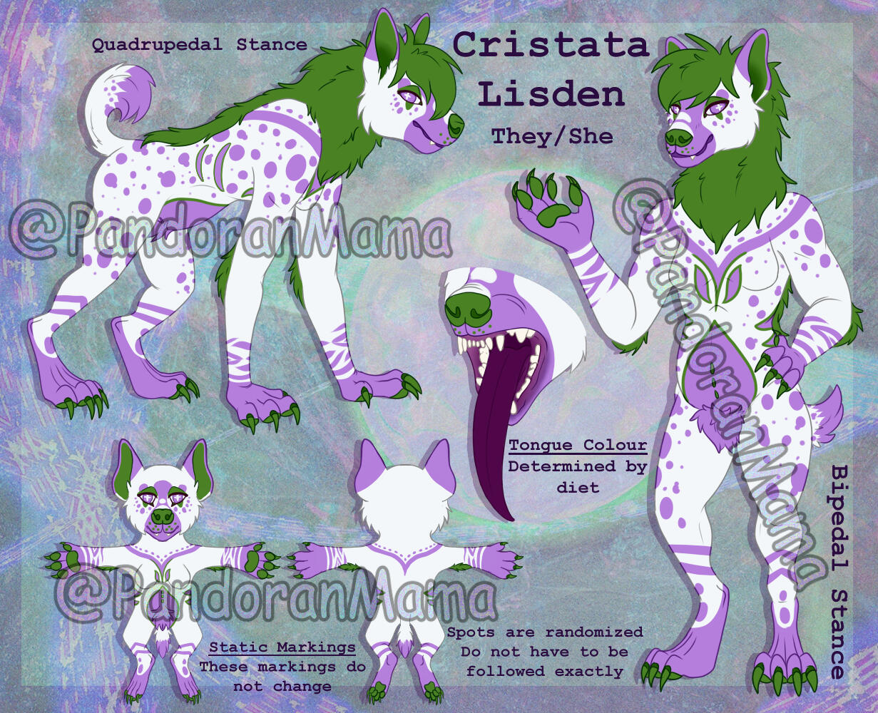 Cristata Lisden Cristata Lisden