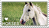 I Love Horses