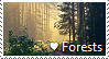 Love Forests Love Forests