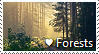 Love Forests