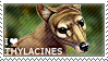 I love Thylacines I love Thylacines