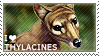 I love Thylacines