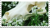 Skull Stamp Skull Stamp