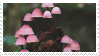 Mushroom Stamp