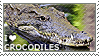 I Love Crocodiles